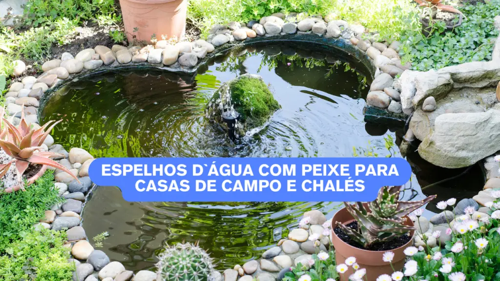 espelho d água